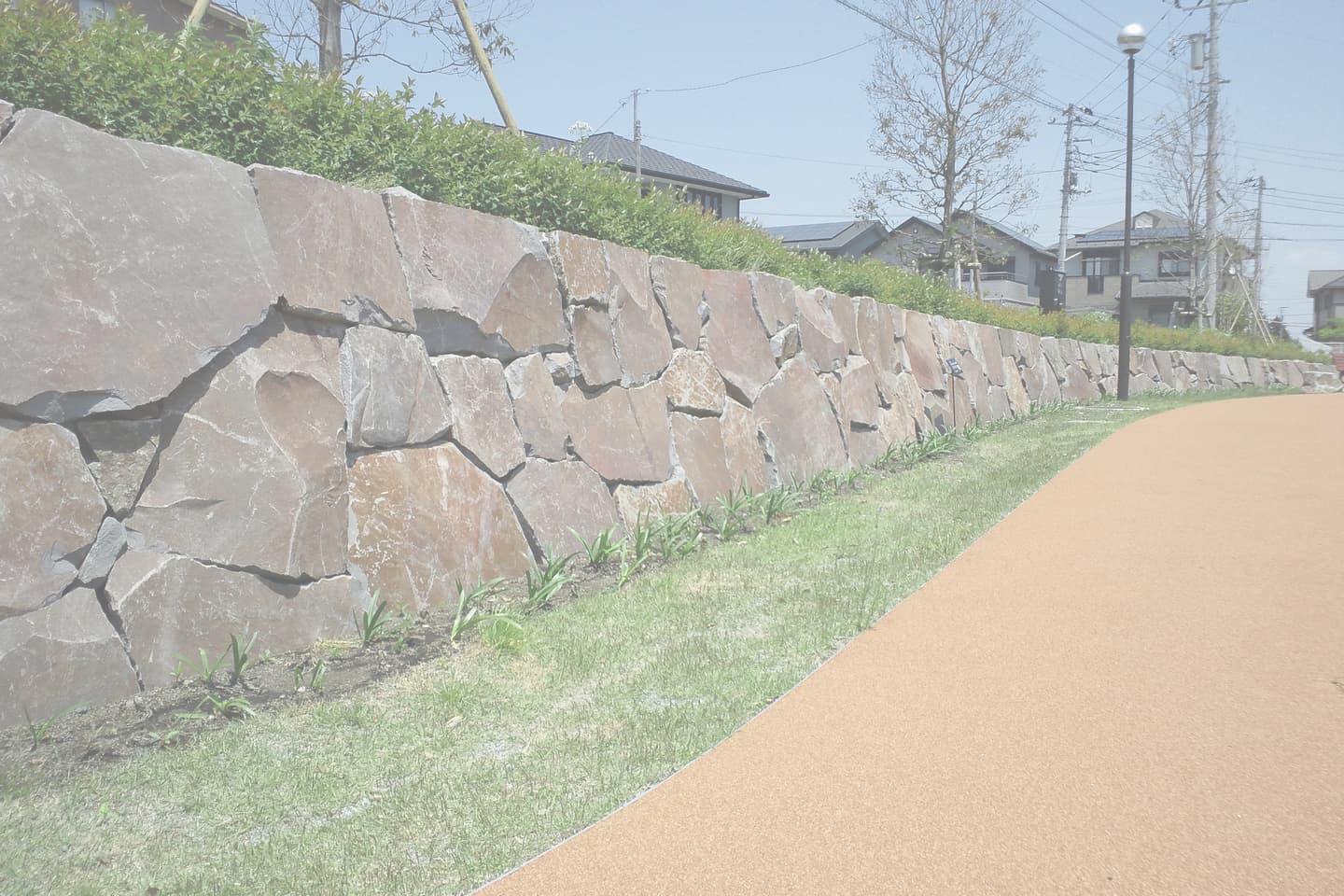 友愛パーク_湘南ロックガーデン