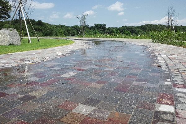 アンデルセン公園_湘南ロックガーデン
