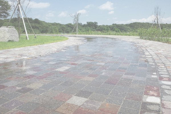 アンデルセン公園_湘南ロックガーデン