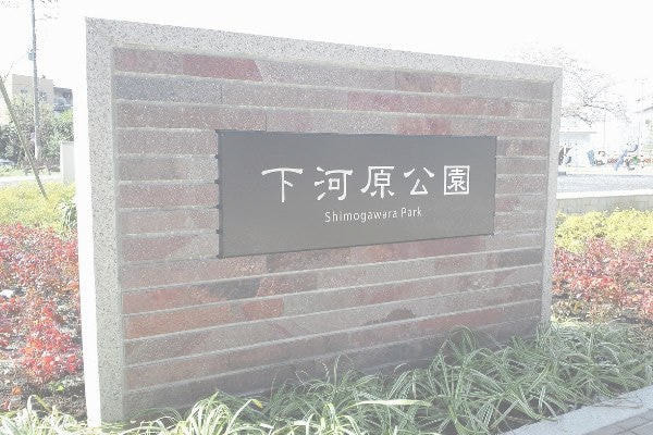 下河原公園_湘南ロックガーデン
