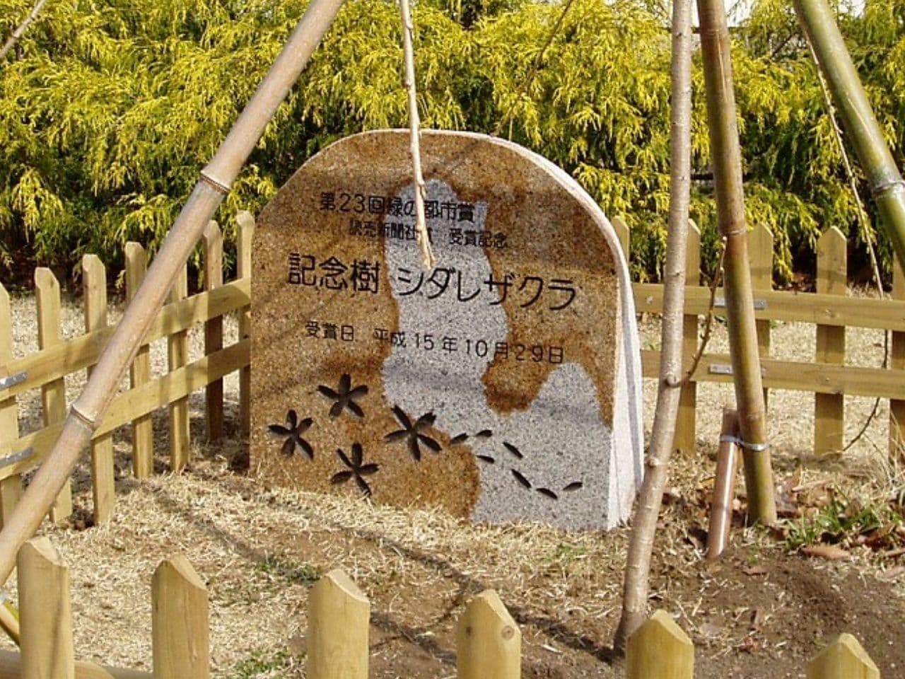 蛭川御影石_湘南ロックガーデン