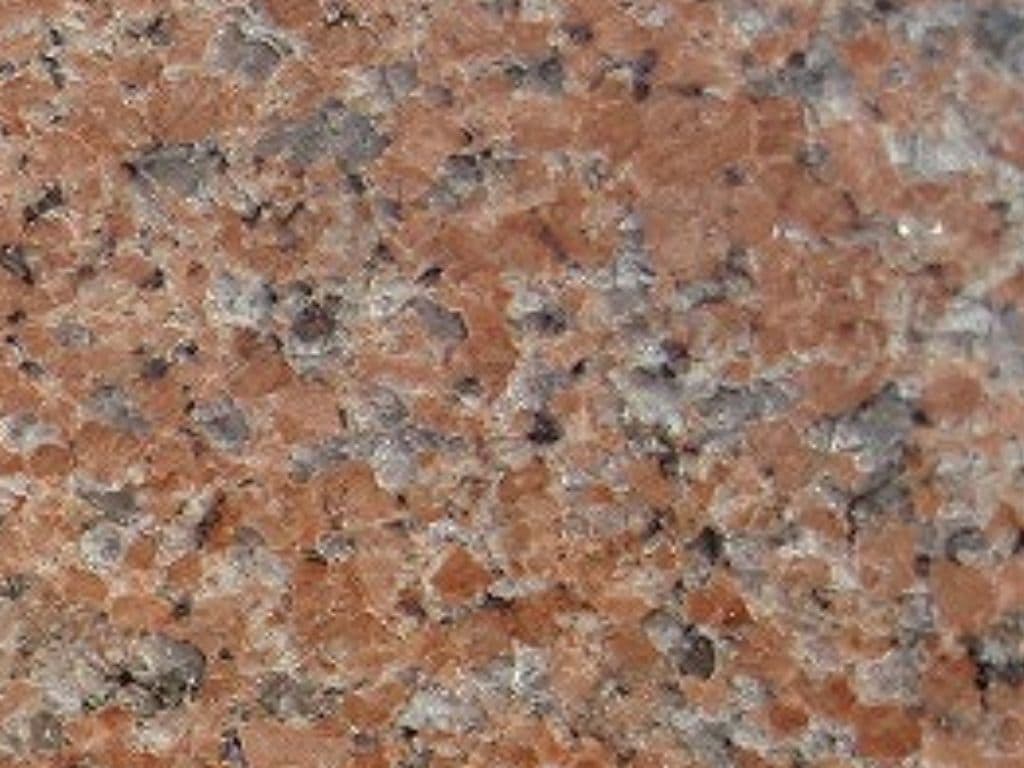 G562_湘南ロックガーデン