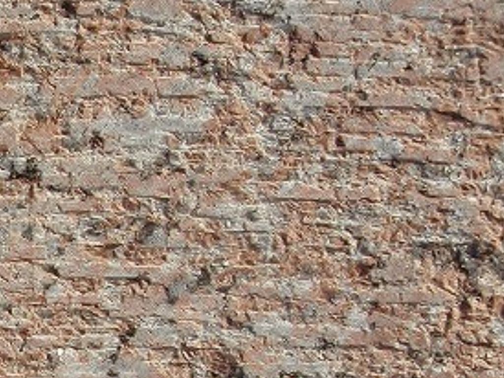 G562_湘南ロックガーデン